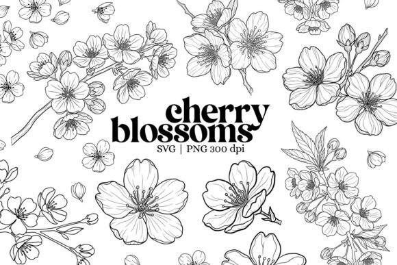 Download Botanical Cherry Blossom Outline Clipart - Botanical Collection