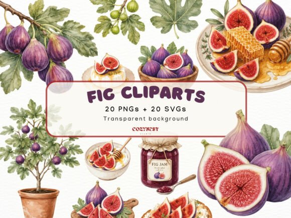 Download Fig Watercolor Cliparts, Botanical PNG - Botanical Collection